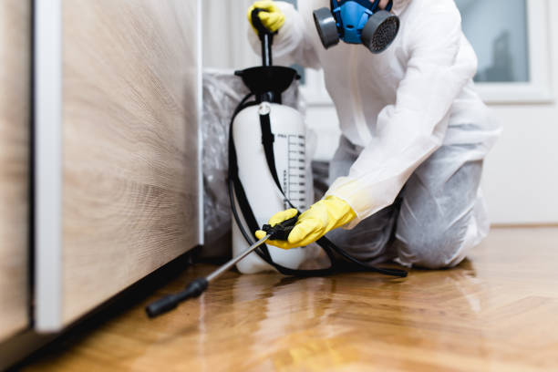 Best Pest Inspection Near Me  in Fort Lee, NJ