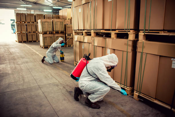 Best Affordable Pest Control Services  in Fort Lee, NJ