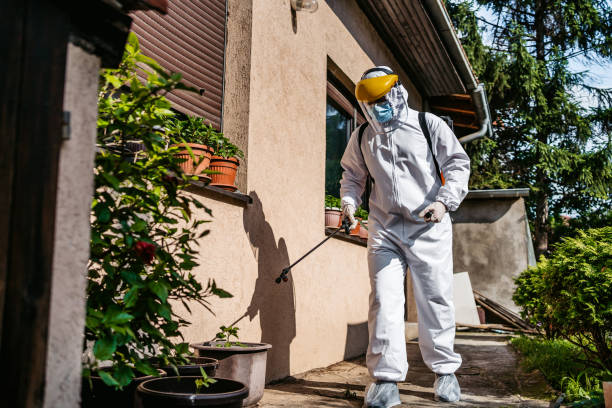 Best Ant Control Services  in Fort Lee, NJ