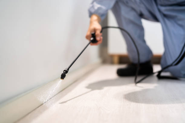 Best Mosquito Control Services  in Fort Lee, NJ