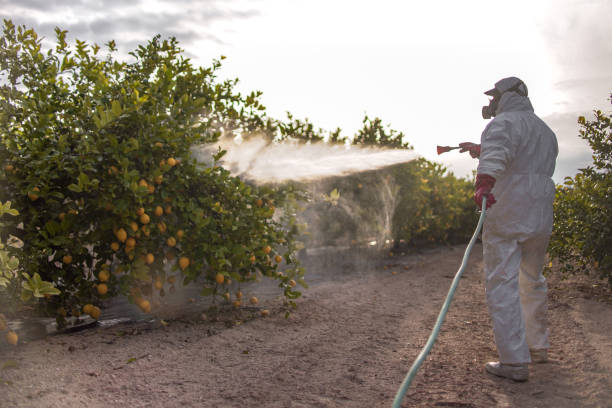Best Pest Control Near Me  in Fort Lee, NJ