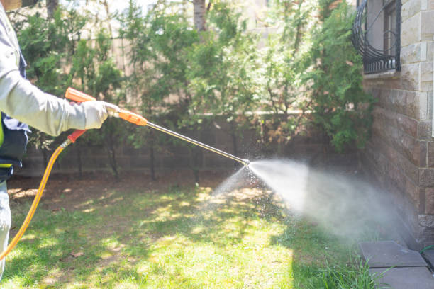 Best Termite Control Services  in Fort Lee, NJ