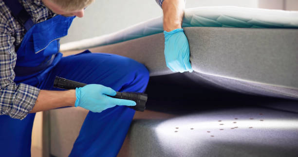 Best Residential Pest Control  in Fort Lee, NJ