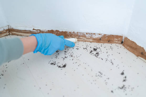 Best Commercial Pest Control Services  in Fort Lee, NJ