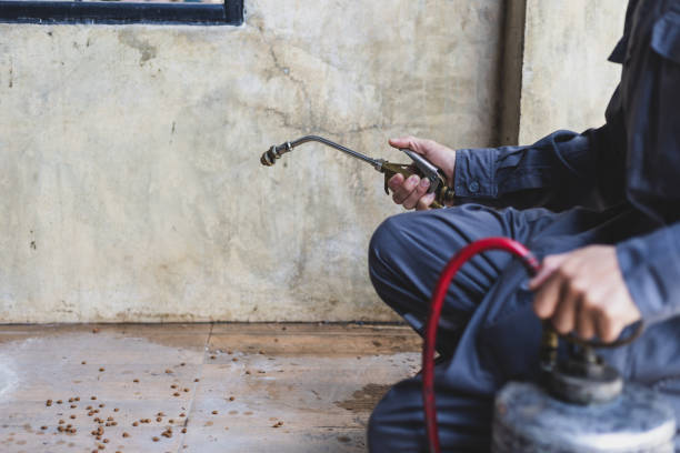 Best Local Pest Control Services  in Fort Lee, NJ